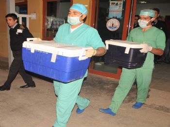 MALATYA İNÖNÜ ÜNIVERSITESI - Depremzede Baran 3 Hayat Kurtaracak