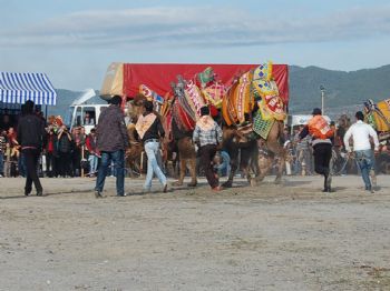 Develer Arenaya Sığmadı