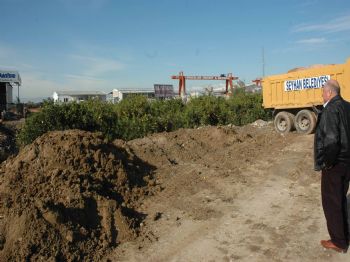 İstimlak Gerginliğinde Ağaçlar Toprak Oldu