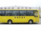 Okul otobüsü yoldan çıktı: 15 ölü