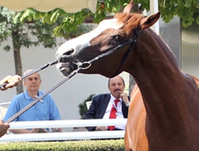 Spor otomobil fiyatına tay