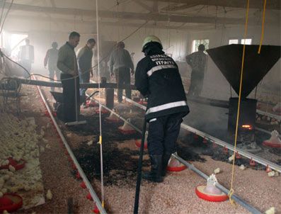 Tavuk Çiftliğinde Yangın