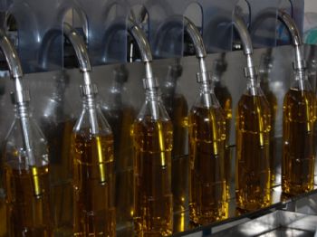 Zeytinyağına 1,5 Milyon Tl Prim