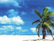 Ermeni davasına Hawaii de taraf oldu