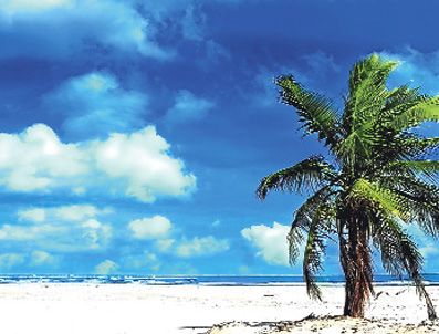 Ermeni davasına Hawaii de taraf oldu