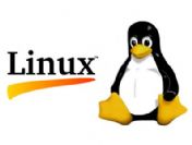 Linux için USB yeterli