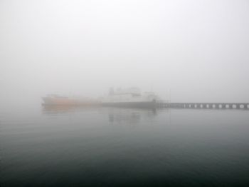 Tekirdağ'da Yoğun Sis Kara ve Deniz Trafiğini Olumsuz Etkiliyor