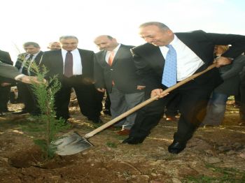 Adapazarı Orman Bölge Müdürlüğü  Örnek Projelerini Hayata Geçirdi