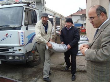 Çilimli'de Macar Fiği Tohumu Dağıtıldı
