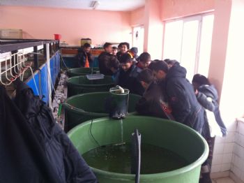 İlköğretim Öğrencileri, Su Ürünleri Fakültesini Gezdi