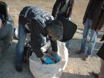 Kırşehir'de 50 Kilo Esrar Ele Geçirildi