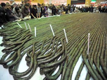 Rus Aşçılar 2,5 Kilometrelik Suşi İle Guinness Rekorlar Kitabı’na Girdi