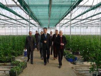 Adana'da Seracılık Gelişiyor