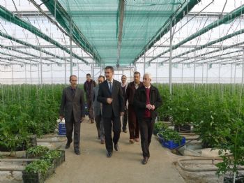 Seracılık Yüzde 50 Hibe Projesiyle Gelişiyor