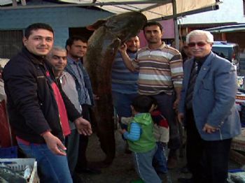 Baraj Gölünde 2.5 Merte Uzunluğunda Balık Yakaladı