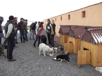 NEVZAT BOZKUŞ - Hayvanseverler Kars Hayvan Barınağı'nda İncelemelerde Bulundu