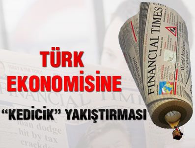 GOLDMAN SACHS - Türk ekonomisine 'kedicik' yakıştırması