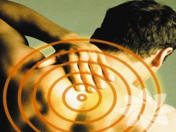 ÇÖREK OTU - Boyun Fıtığına Bitkisel Öneriler