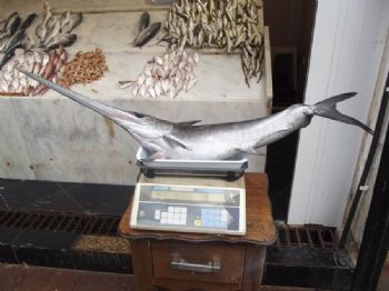 Denizden Gelen Bereket Balıkçının Yüzünü Güldürdü