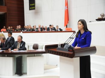 TÜRKIYE BILIMLER AKADEMISI - Ak Parti Kayseri Milletvekili Prof. Dr. Gündeş Bakır: