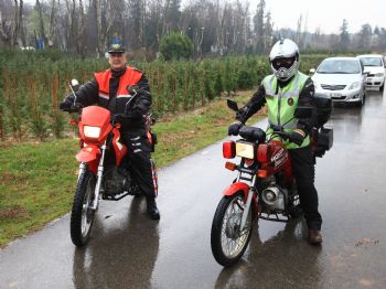 İBRAHIM ÇIFTÇI - Orman Bölge Müdürlüğü'nden Kaçak Çam Kesimine 'motorize' Koruma