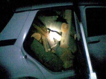 KURUDERE - Otomobillerinin Arka Koltuğunda Kaçak Odun Taşıyan İki Kişi Suç Üstü Yakalandı