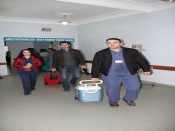 Üniversite Öğrencisinin Böbrekleri Bağışlandı