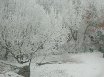 Ardahan'da Kış, Posof'ta Bahar