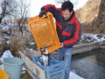 Erzurumlu Genç Girişimcinin Zaferi