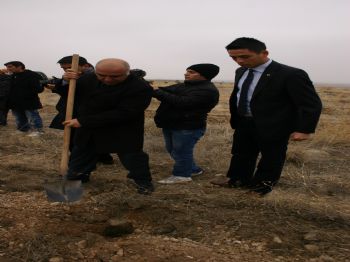 İğdır'da 5 Bin Badem Tohumu Toprakla Buluştu