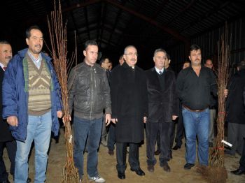 'meyveciliği Geliştirme' Projesine 1 Milyon 650 Bin Tl Destek