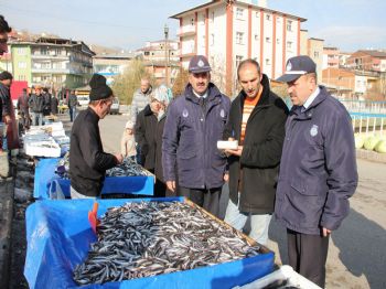 Balık Tezgâhlarına Sıkı Denetim