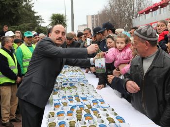 FEVZI KıLıÇ - Büyükşehir Belediyesi 15 Bin Adet Lale Soğanı Dağıttı