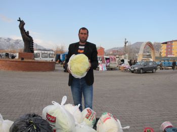 Lahanaları Poşetledi