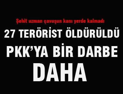 CUDI DAĞı - Cudi Dağı'nda 27 PKK'lı öldürüldü