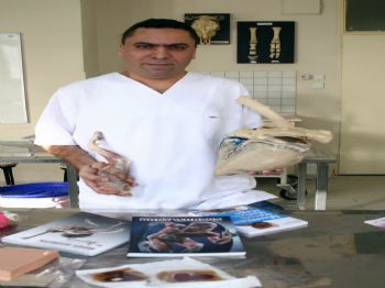 ZÜRIH - (özel Haber) İnsan ve Hayvan Kadavraları Plastiğe Dönüştürülüyor