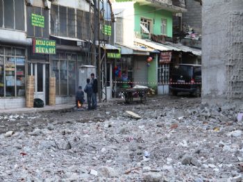 Van'da Yaşam Mücadelesi