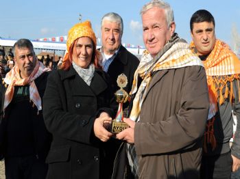 SAVARONA - Başkan Çerçioğlu Şampiyon Devecilerin Ödüllerini Verdi