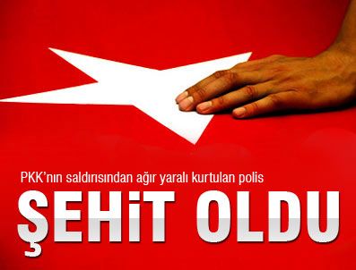 ZEKI ÇOLAK - Bismil'de hain saldırı: 1 şehit