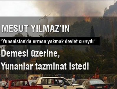 TANSU ÇILLER - 'Yunanistan'da orman yakmak devlet sırrıydı'