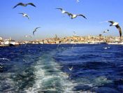 Artık deniz değil açık bir fosseptik çukuru