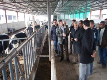 HALIT MENGI - Karalan Tarımsal Kalkınma Kooferatifi Tam Kapasite Çalışıyor