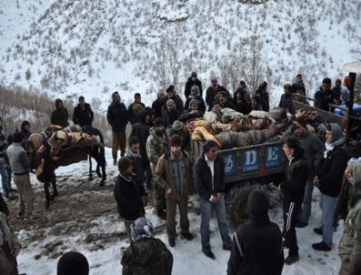 ORTABAĞ - Kahreden hatada çarpıcı iddia