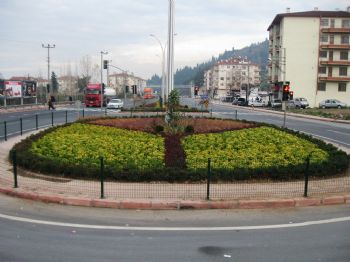 Büyükşehir Belediyesi D-130 Karayolu Kenarına 35 Bin Bitki Dikti