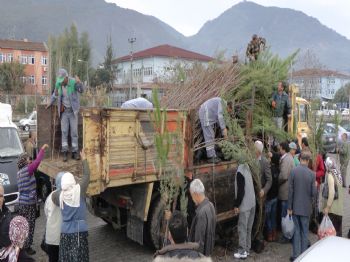 Fethiye’de Yıl Başı Öncesi Fidan Dağıtımı