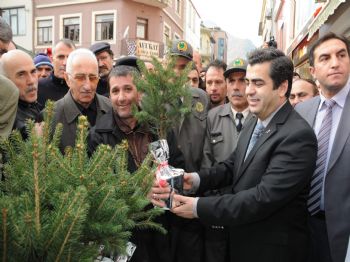 SEYIT TORUN - Ordu'da Fidan Dağıtıldı