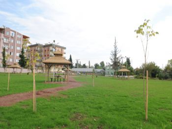 Ünsal Mahallesi'ne Çınarlı Park