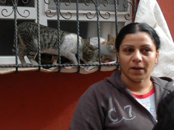 YEŞILYUVA - 4 Kedisi Birden Ölen Kadın Polise Başvurdu
