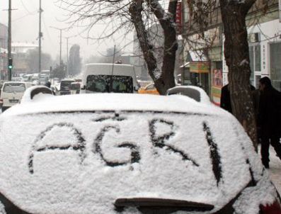 Doğu Anadolu donuyor