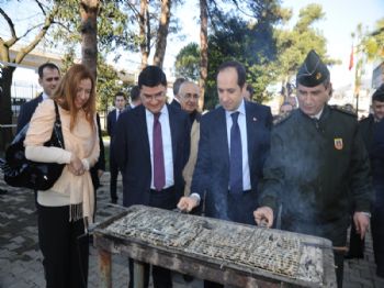 NECMETTIN KALKAN - Artvin Üniversitesi Hopa Meslek Yüksekokulu’nda “hamsi Şenliği”